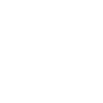 Global Services-hand with key icon
