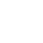 Global Services-waiter icon